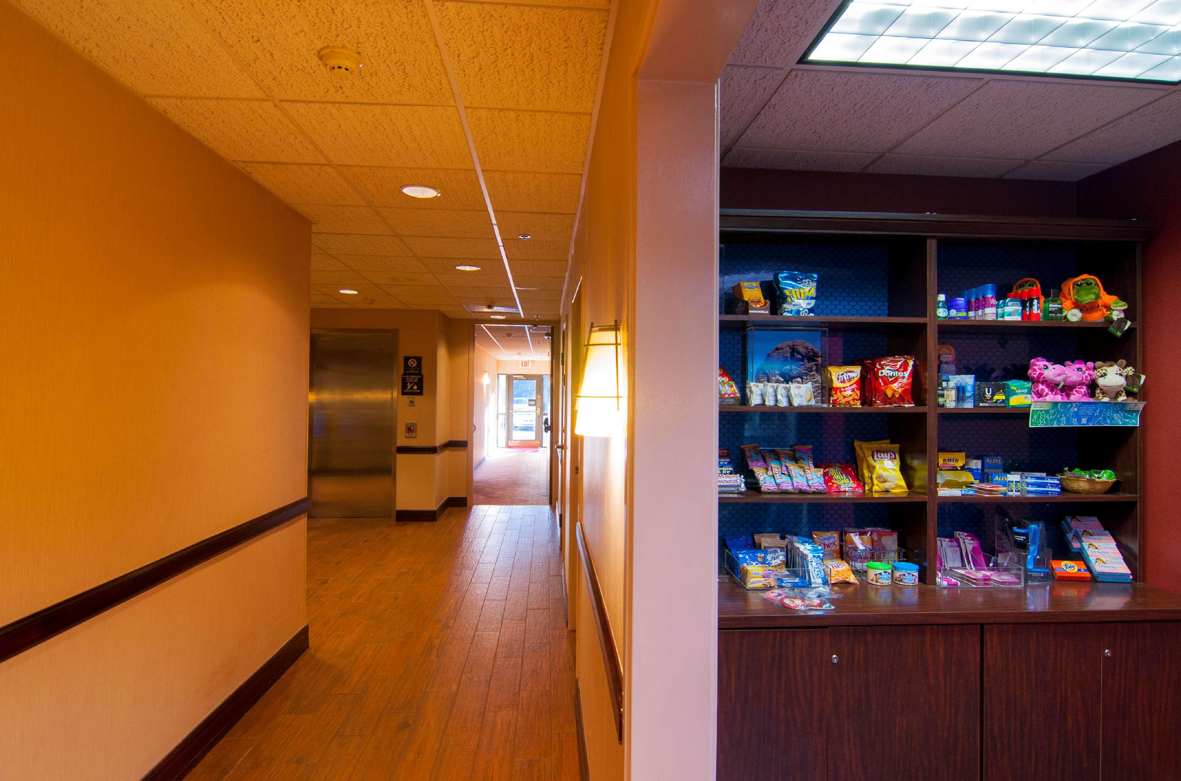 Hampton Inn & Suites Tampa-North מראה חיצוני תמונה