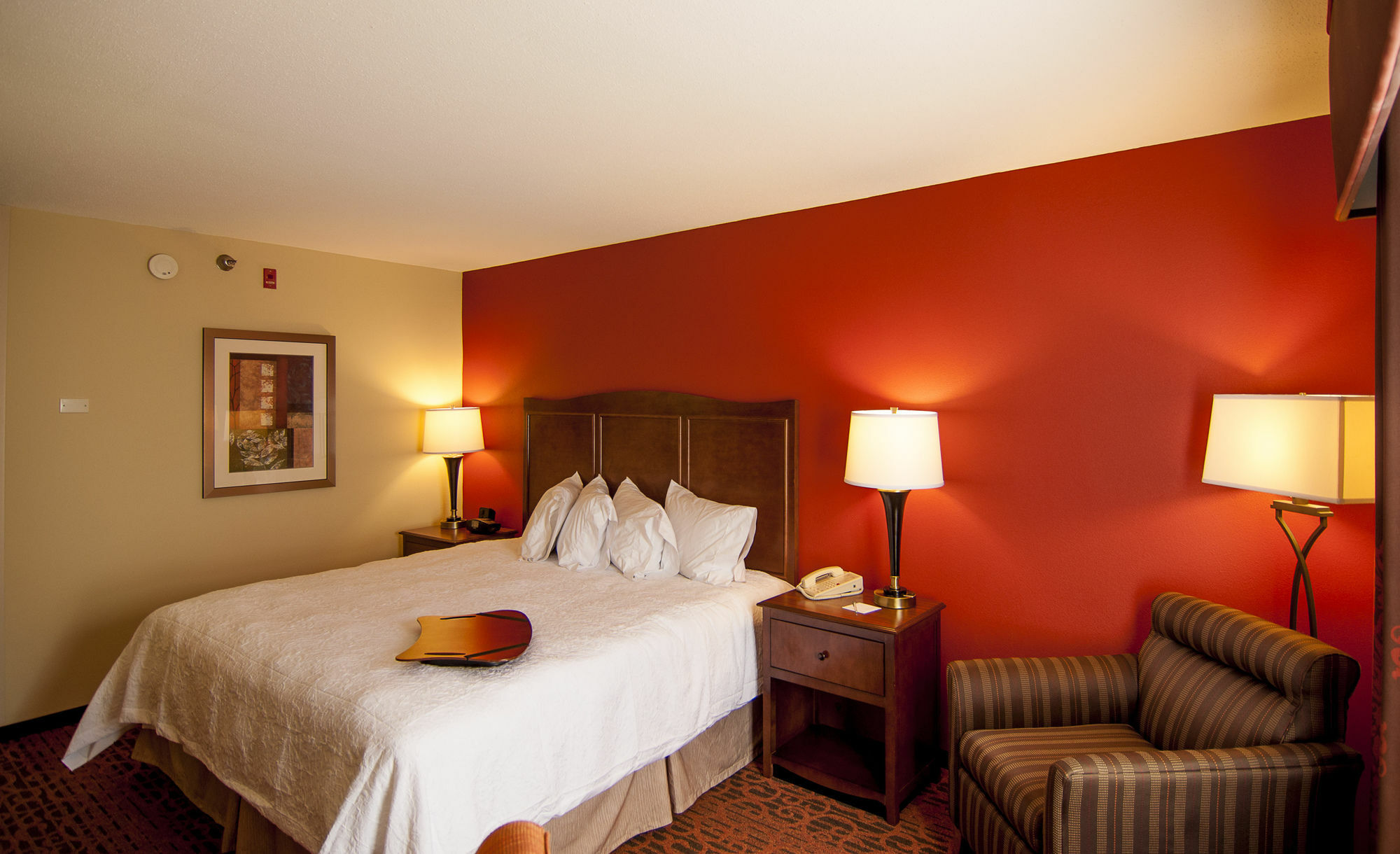 Hampton Inn & Suites Tampa-North מראה חיצוני תמונה