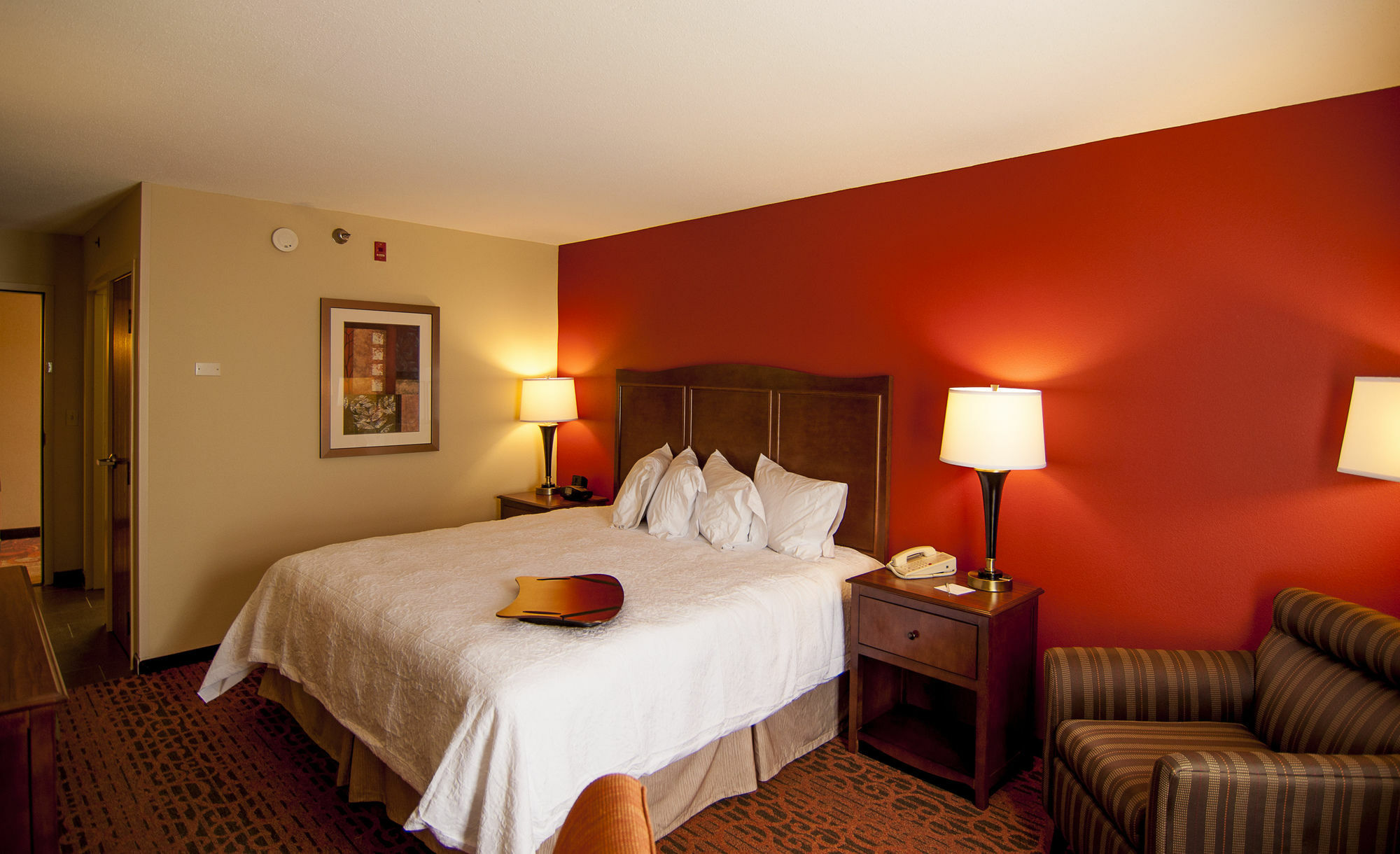 Hampton Inn & Suites Tampa-North מראה חיצוני תמונה